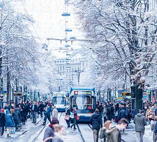 Winter Zürich: Städtetrip Zürich